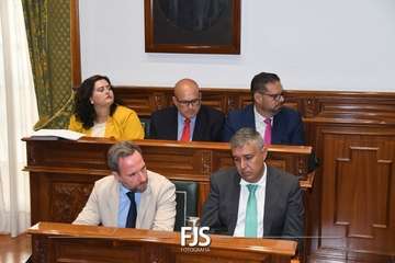  La lucha contra la lacra machista se sube al taxi en Telde/Francisco Javier Santana.